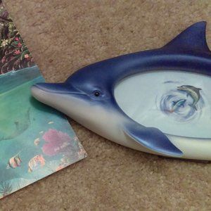 Dolphin Frame and Dolphin Picture (pnk)
